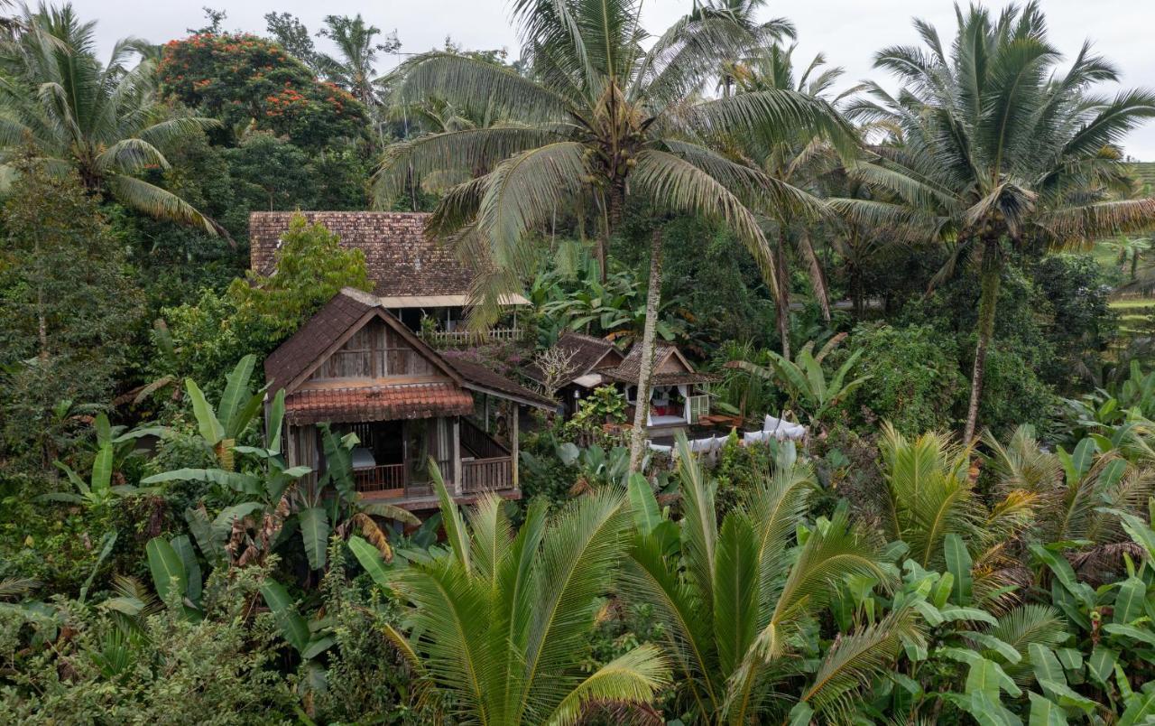 Villa Nienté Bali Penebel Esterno foto
