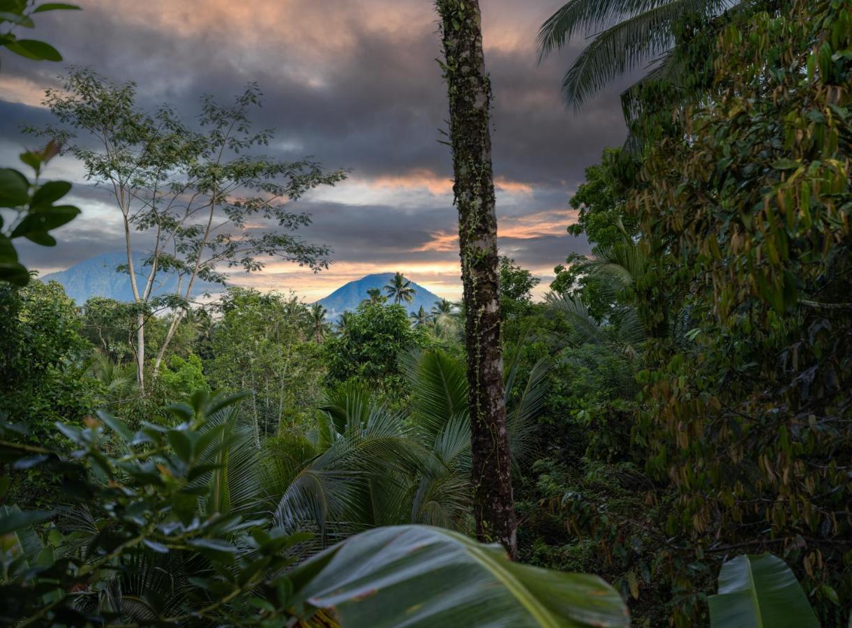 Villa Nienté Bali Penebel Esterno foto